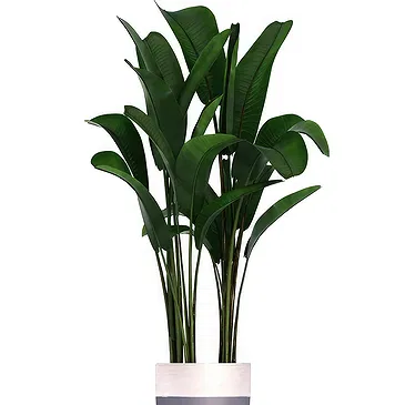 Queensborough / Tunbridge flowers  -  Strelitzia Flower Bouquet/Arrangement