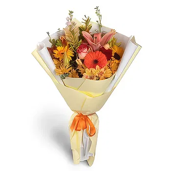 Colonia Campo Villafane Mayor Vicente Villafane flowers  -  Double Paper Flower Delivery