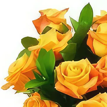 fiorista fiori di Tochigi- Rose morbide Bouquet floreale