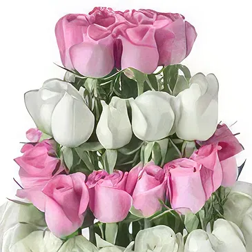Ad Dilam blomster- Orchids & Roses kurv Blomsterarrangementer bukett
