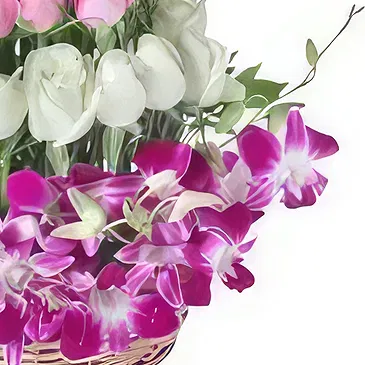 Ad Dilam blomster- Orchids & Roses kurv Blomsterarrangementer bukett