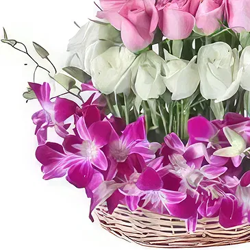 Ad Dilam blomster- Orchids & Roses kurv Blomsterarrangementer bukett