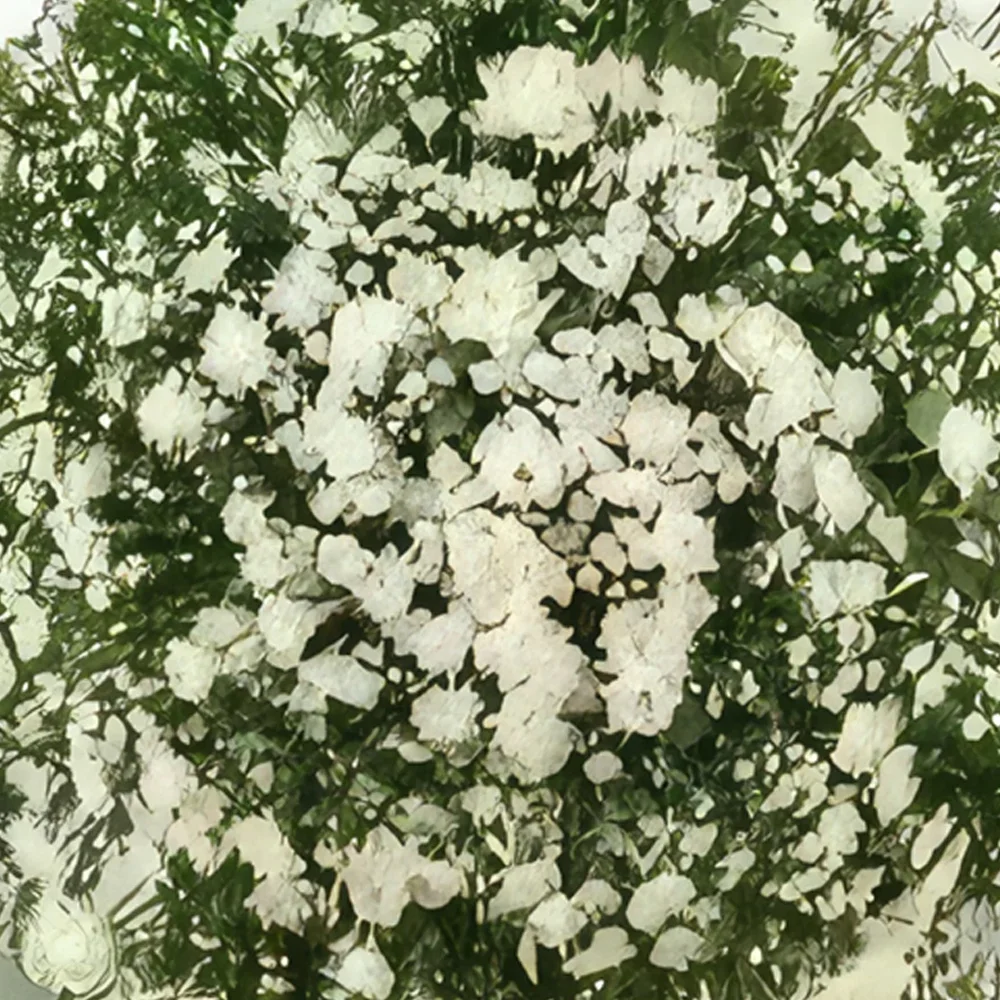 Belém blomster- Luksuriøse Crown af kondolence Blomst buket/Arrangement