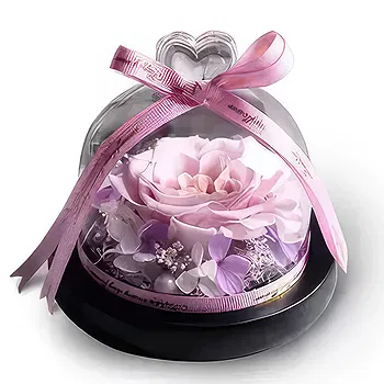 United Arab Emirates flowers  -  Exquisite Pink  Flower Delivery