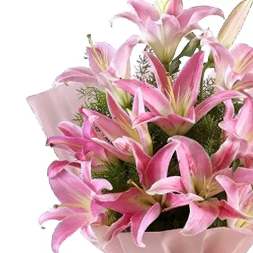 flores de Amã- Nova manhã Bouquet/arranjo de flor