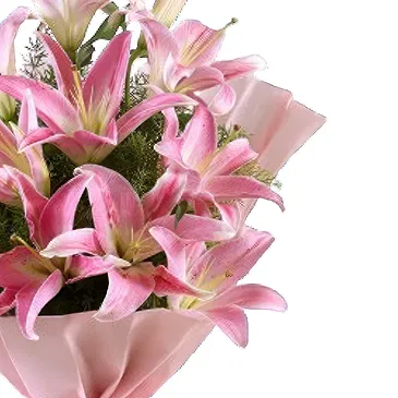 flores de Amã- Nova manhã Bouquet/arranjo de flor
