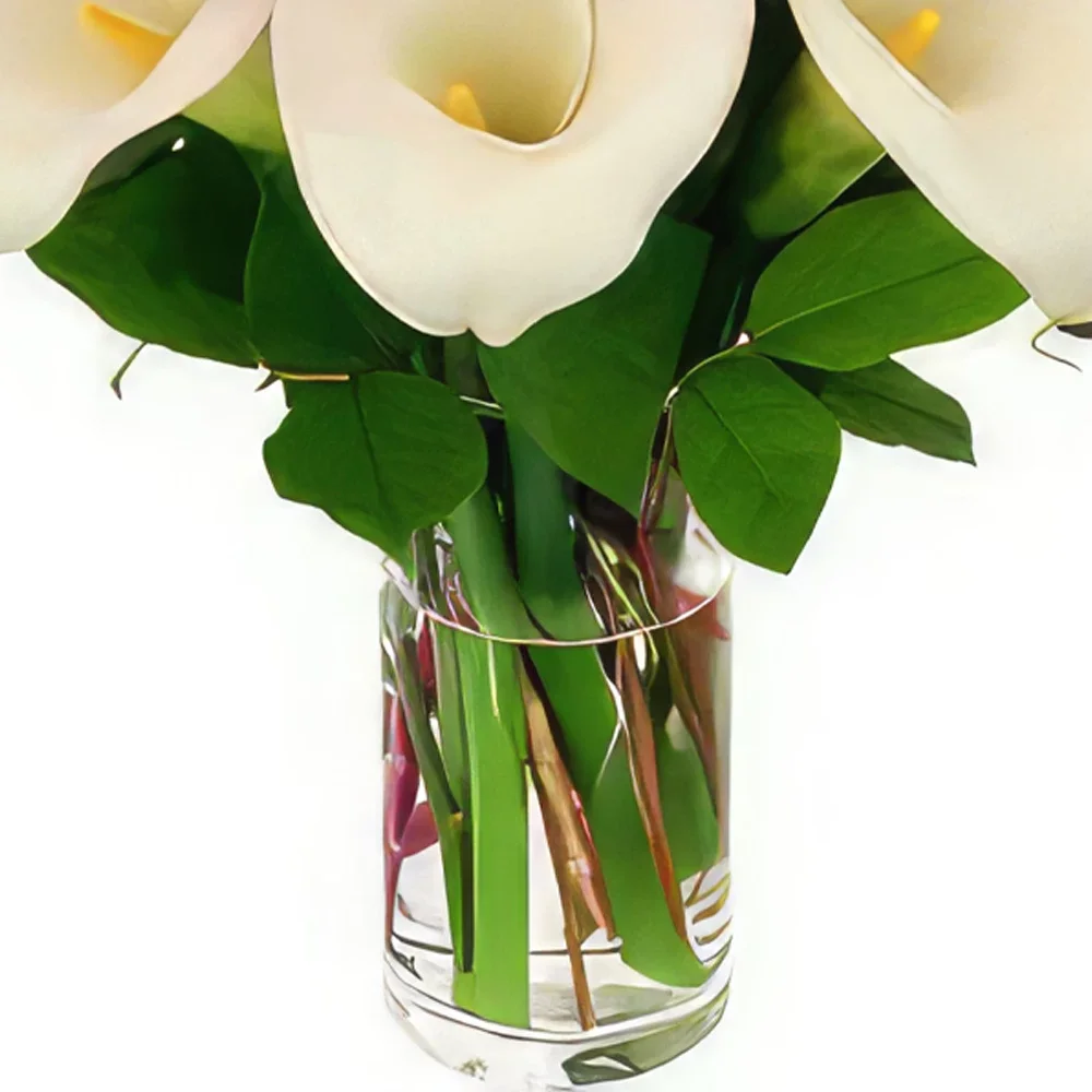 מילאנו פרחים- ריח של אהבה זר פרחים/סידור פרחים