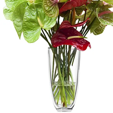 Italy flowers  -  Bunch of Flowers with Red Anthuriums Flower Bouquet/Arrangement