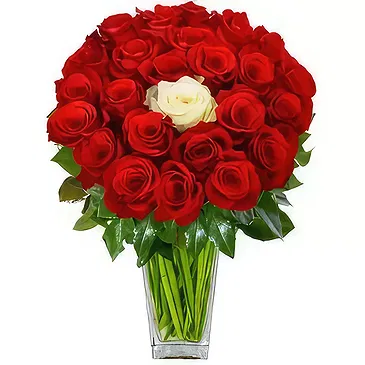 fleuriste fleurs de Bezeck- Toi et moi Bouquet/Arrangement floral