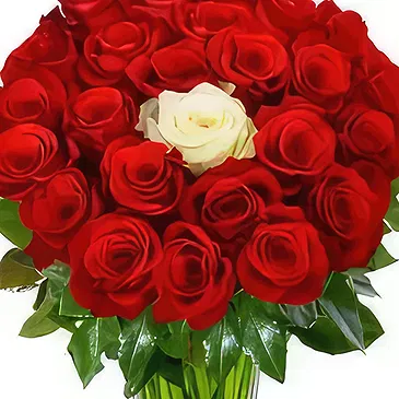 fleuriste fleurs de Bezeck- Toi et moi Bouquet/Arrangement floral