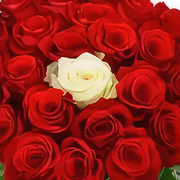 fleuriste fleurs de Bezeck- Toi et moi Bouquet/Arrangement floral