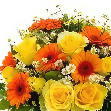 Budapest flowers  -  LOYALTY - BOUQUET OF FLOWERS Flower Bouquet/Arrangement