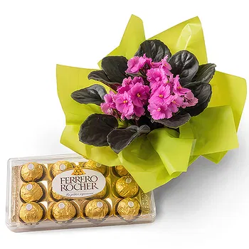 Brazil flowers  -  Violet Vase for Gift and Chocolate Flower Delivery