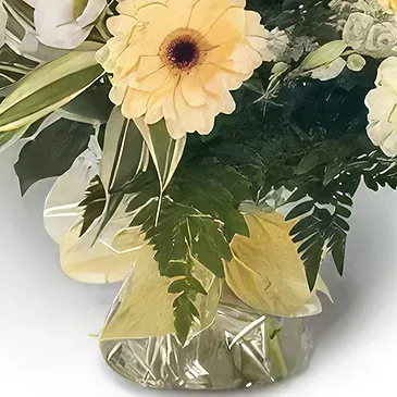 Budapest flowers  -  CLEAR - AQUAPACK Flower Bouquet/Arrangement