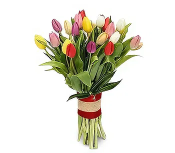 Sitrah blommor- Fantastiska tulpaner Blomma Leverans