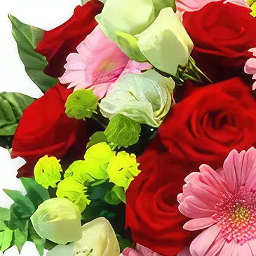 Wroclaw flowers  -  Gerberas Love Flower Bouquet/Arrangement