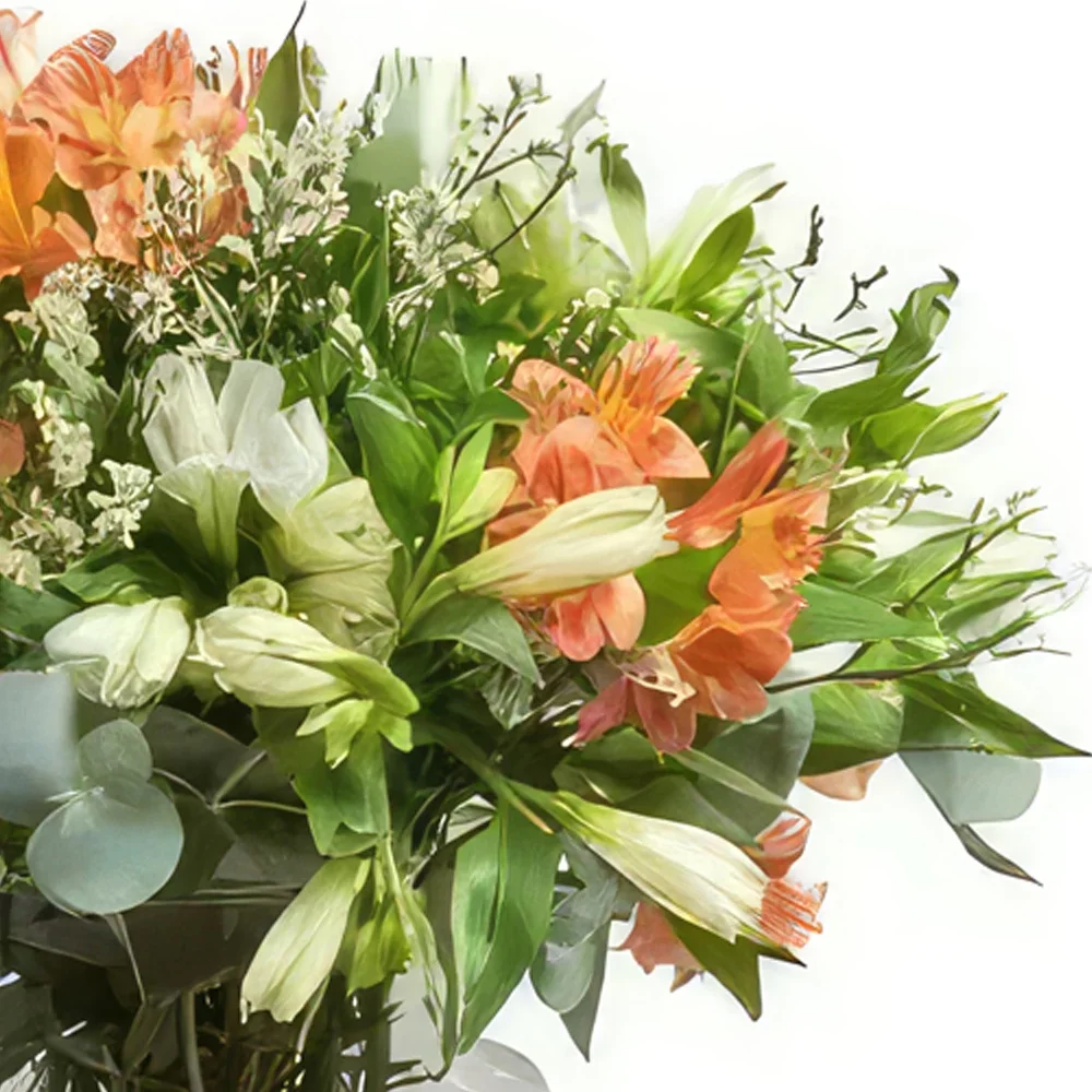 ヘレスデラフロンテラ 花- ちょっとした驚き 花束/フラワーアレンジメント