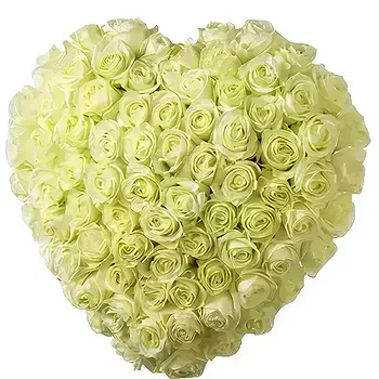 ChiJtontik flowers  -  Life forever Flower Delivery