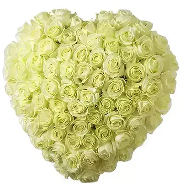 Teremendo de los Reyes flowers  -  Life forever Flower Bouquet/Arrangement