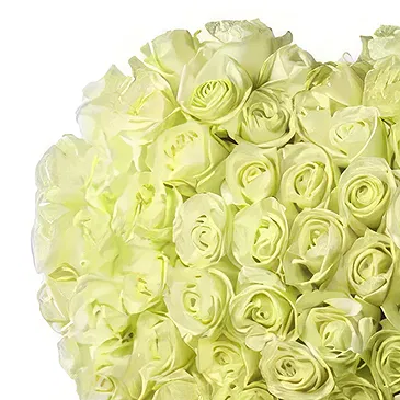 Teremendo de los Reyes flowers  -  Life forever Flower Bouquet/Arrangement