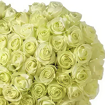 Teremendo de los Reyes flowers  -  Life forever Flower Bouquet/Arrangement