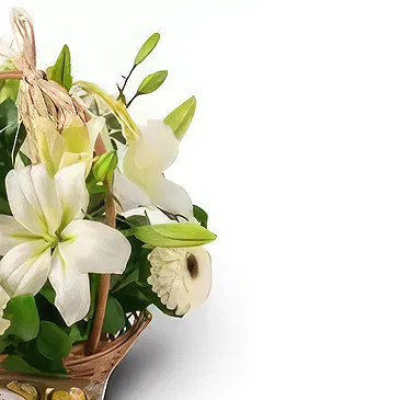 Douglas Blumen Florist- Weiße Kombination Bouquet/Blumenschmuck