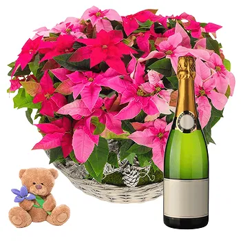 Pattaya flowers  -  Christmas Poinsettias Basket Flower Delivery
