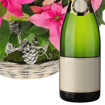 Pattaya Blumen Florist- Weihnachts -Weihnachtsstern Korb Bouquet/Blumenschmuck