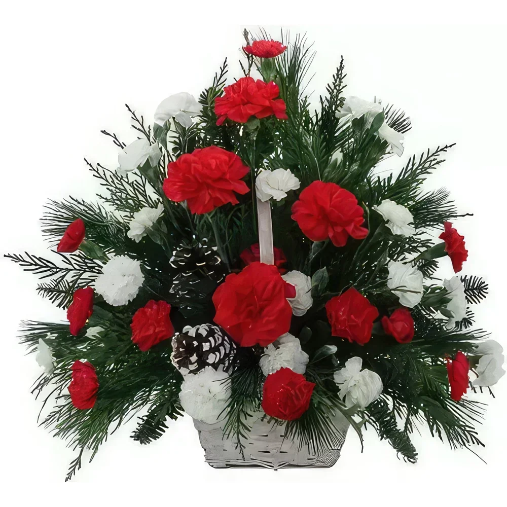 Ибиса цветя- Празнична червена и бяла кошница Букет/договореност цвете