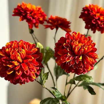 Halta blomster- Brennende blomster Blomsterarrangementer bukett