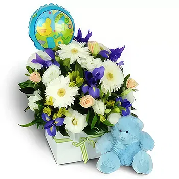 Antias flowers  -  Positive Intentions Flower Delivery