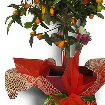 Nea Krya Vrysi flowers  -  Orange Tree Variety Flower Bouquet/Arrangement