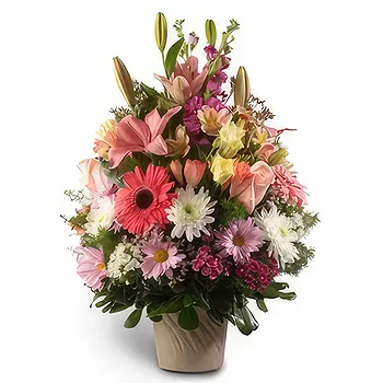 Colonia Campo Villafane Mayor Vicente Villafane flowers  -  colors Base Flower Delivery
