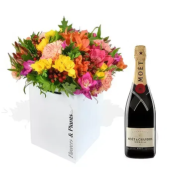 United Kingdom flowers  -  Bright Lights and Moet Flower Delivery