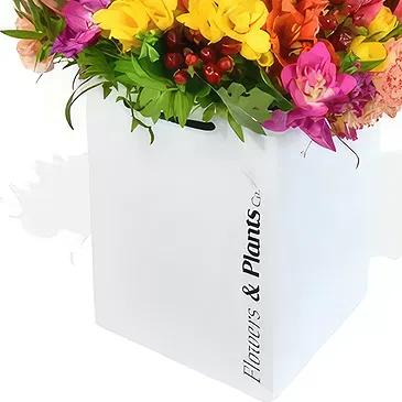 Taunton flowers  -  Bright Lights and Moet Flower Bouquet/Arrangement