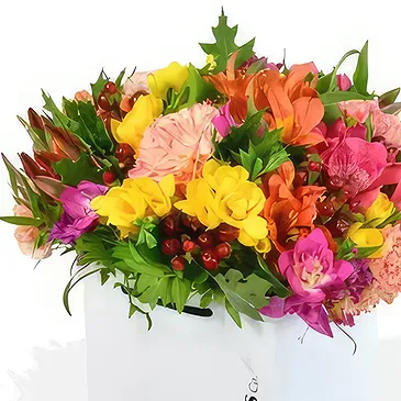Taunton flowers  -  Bright Lights and Moet Flower Bouquet/Arrangement