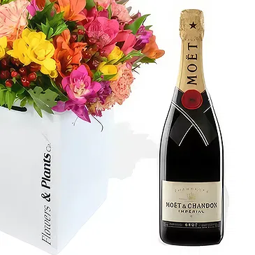 Taunton flowers  -  Bright Lights and Moet Flower Bouquet/Arrangement