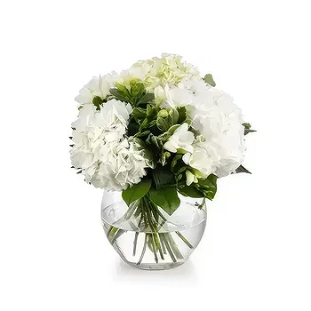 Romania flowers  -  Snow Shine Flower Delivery