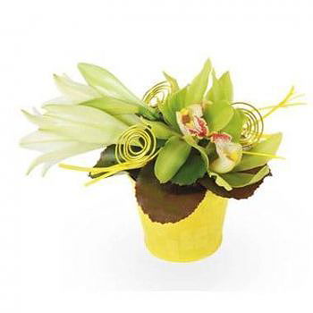 fiorista fiori di Laval- Composizione floreale Gaite Bouquet floreale