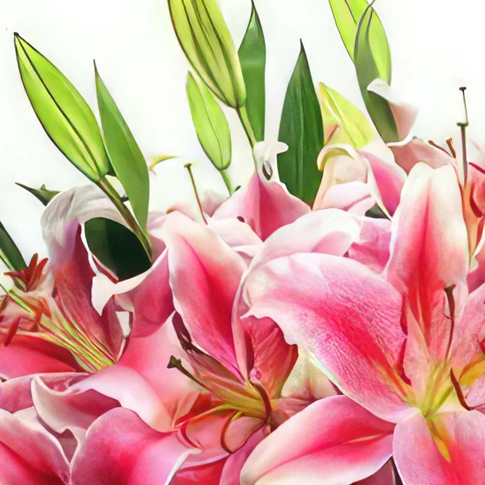 Bogota blomster- Fragrance Blomst buket/Arrangement