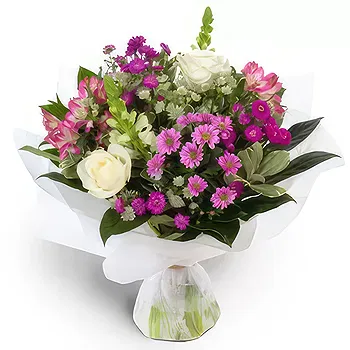 Antias flowers  -  Cutie Pie Flower Delivery