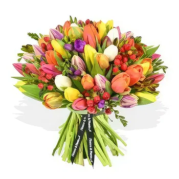 United Kingdom flowers  -  Candy splash Flower Delivery
