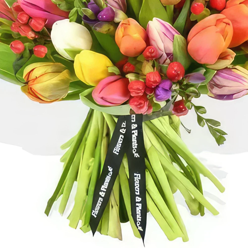 בריסטול פרחים- התזה ממתקים זר פרחים/סידור פרחים