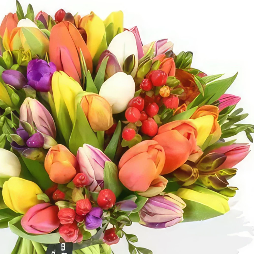 בריסטול פרחים- התזה ממתקים זר פרחים/סידור פרחים