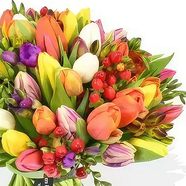 Doncaster flowers  -  Candy splash Flower Bouquet/Arrangement