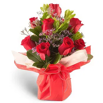 Colonia Campo Villafane Mayor Vicente Villafane flowers  -  ROSES COLLECTION11226 Flower Delivery
