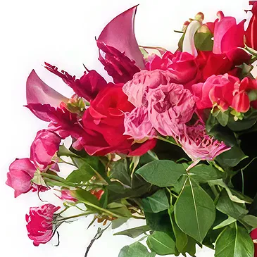 Ouled Maaref flowers  -  Flowerly Flower Bouquet/Arrangement