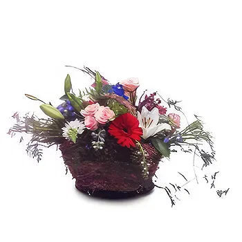 flores de Zaragoza- Alegre Flor Entrega