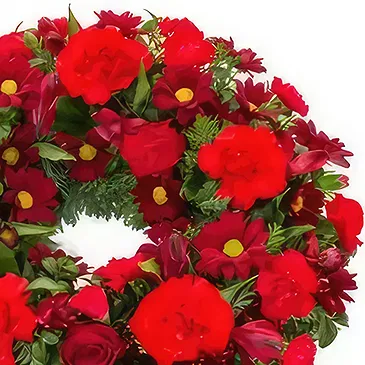 Swallow flowers  -  Sincerity Flower Bouquet/Arrangement