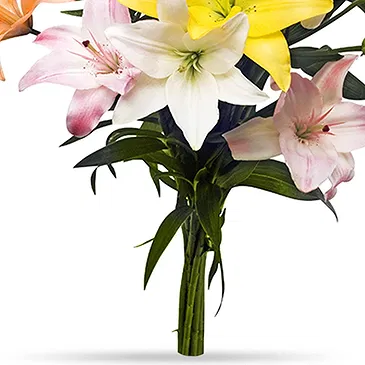 Oman flowers  -  Vivid Lilies Flower Bouquet/Arrangement